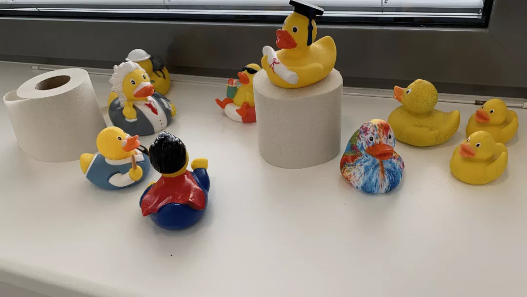 Ten bath-time adorable rubber ducks are holding a gathering.